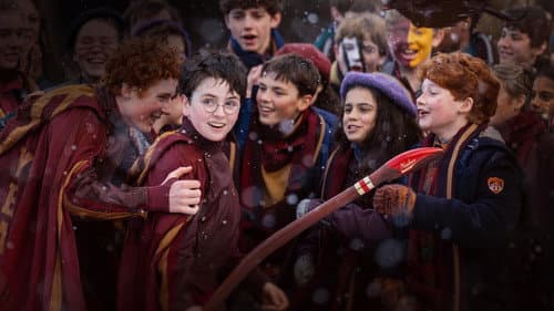 Finding Harry - Die Kunst hinter der Magie Bild 4