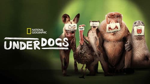 Underdogs: Außenseiter des Tierreichs Bild 6