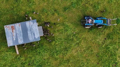 The Lunatic Farmer Bild 1