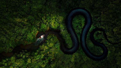 Moskito-Küste Bild 6