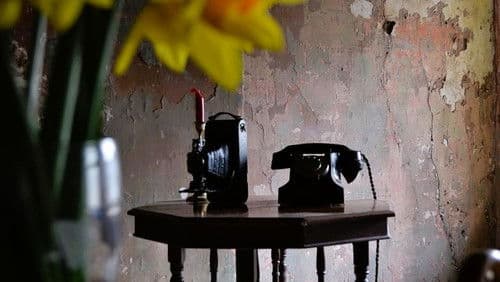 The Telephone Bild 1