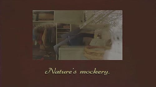 Gemini Home Entertainment Bild 5