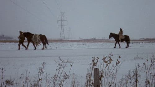 Les maudits sauvages Bild 2