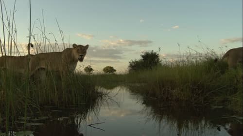 Pride in Battle Bild 1