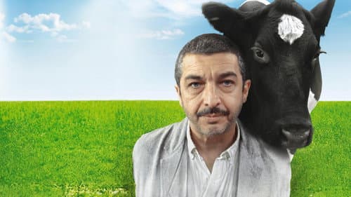 Chinese zum Mitnehmen Bild 4