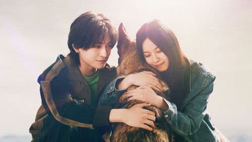 少年と犬 Bild 1