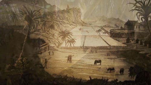 Bois d'ébène Bild 2