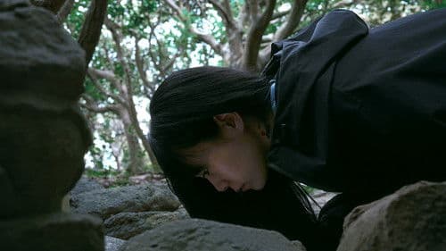 椰子の高さ Bild 1