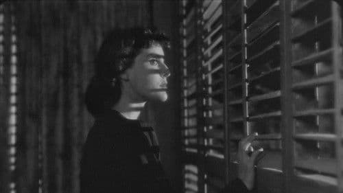 Ich folgte einem Zombie Bild 7