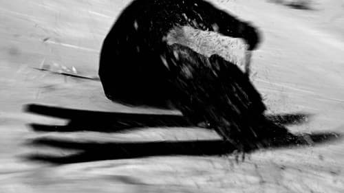 inefficient joy_ Bild 1