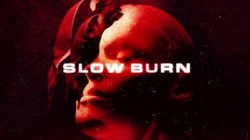 Slow Burn - Verführerische Falle Bild 2