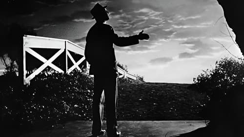 Mein Freund Harvey Bild 3