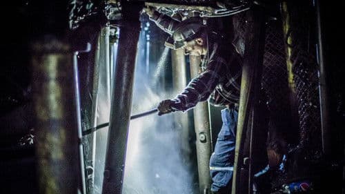 Planeta Petrila Bild 3