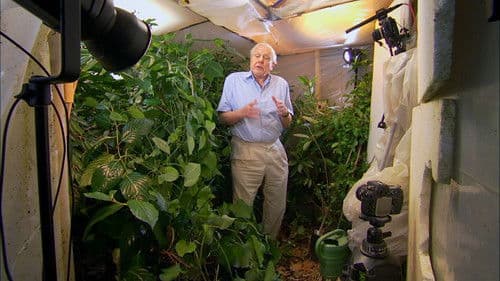 Attenborough: 60 Years in the Wild Bild 2