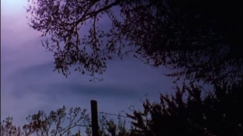 The Stars Are Beautiful Bild 1