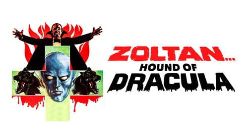 Zoltan - Dracula's Bluthund Bild 2