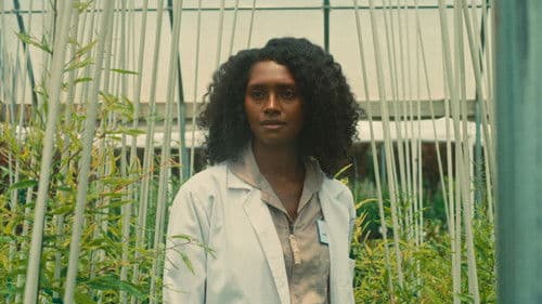 Alex & MOR: A Love Odyssey Bild 7