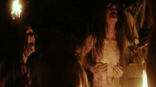 The Lords of Salem Bild 8