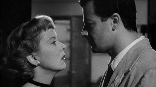 Nachtclub-Lilly Bild 7