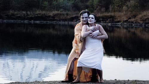 Kirschblüten - Hanami Bild 5