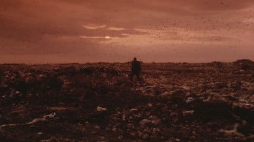 Der Museumsbesucher Bild 4