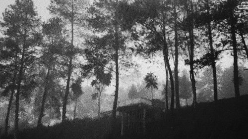 How Does It Feel to Disappear Completely? Bild 3