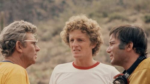 Pray for the Wildcats Bild 4