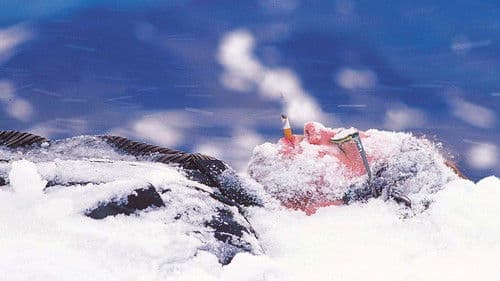 101 Reykjavík Bild 2