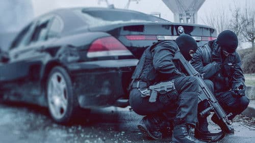 Im Auge des Wolfes Bild 7