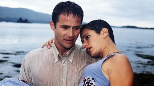 Rosamunde Pilcher: Die zweite Chance Bild 1