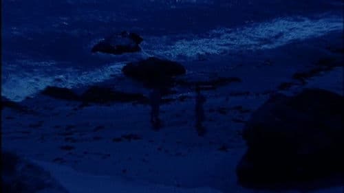 君に捧げし命なりせば Bild 2