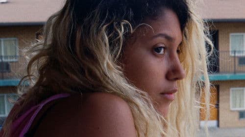 Summer Animals Bild 1