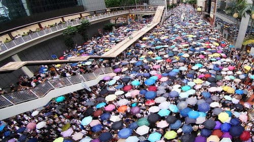 我們有雨靴 Bild 3