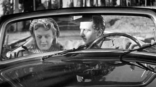 La fortuna viene dal cielo Bild 8