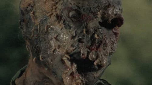 Die Rückkehr der Zombies Bild 8