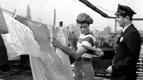 Seine letzte Chance Bild 3