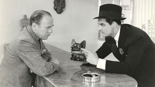 Das blonde Gespenst Bild 2