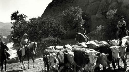 Riders in the Sky Bild 1