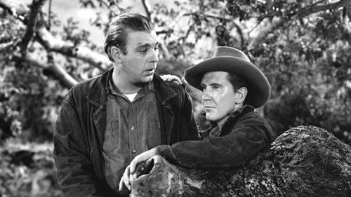 Von Mäusen und Menschen Bild 2