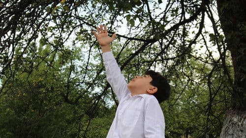 ظلال يوغسلافيا Bild 1