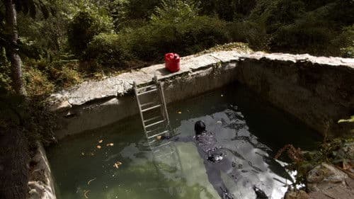 Il faut regarder le feu ou brûler dedans Bild 1