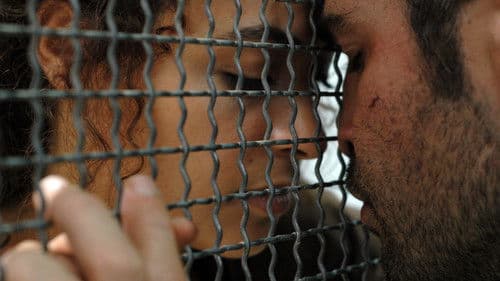 Granatäpfel und Myrrhe Bild 5