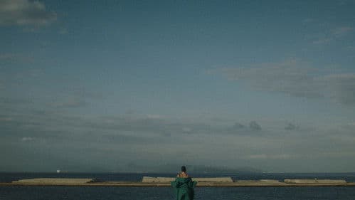 Papaveri e Papere Bild 3