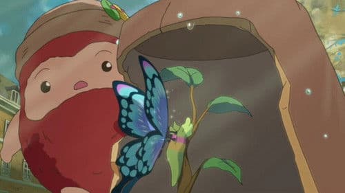 Traveling Daru Bild 1