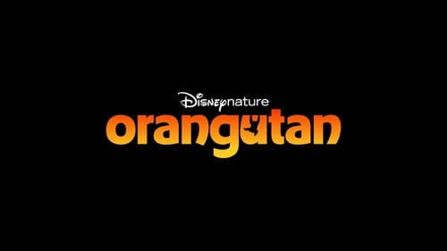 Orangutan Bild 2