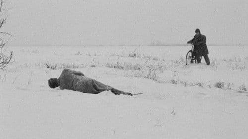 Przy torze kolejowym Bild 1