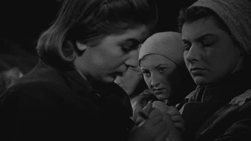 Die letzte Etappe Bild 6