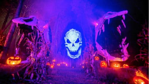 Haunters: The Art of the Scare Bild 1