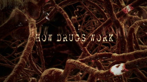How Drugs Work Bild 2