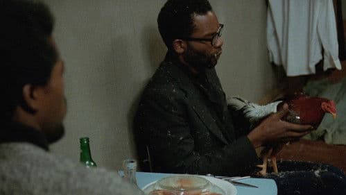 Scheiß auf den Tod Bild 7